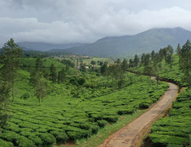  Chikkamagaluru Tour Packages